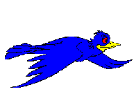 Blue crow